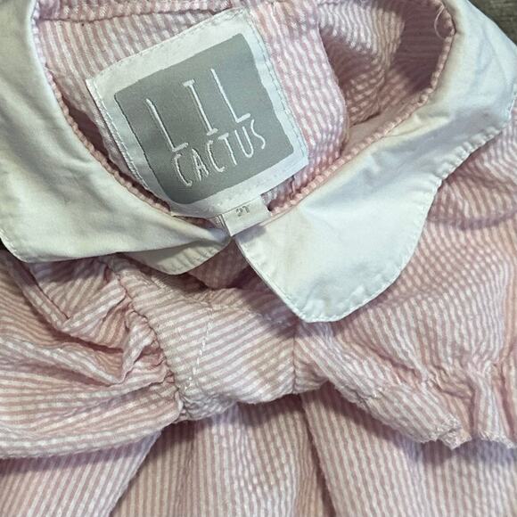 Lil Cactus Pink Stripe Seersucker Dress 2T Peter Pan Collar Heart Embroidery - Picture 6 of 7